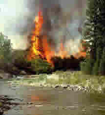 Middle Fork Boise River Fire